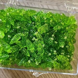 Beadtopia Green Grape Vines Acrylic Fruit Beads Crafts Arts NWT Jewelry